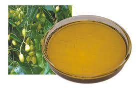Manufacturers Exporters and Wholesale Suppliers of Neem Oil Hyderabad Gujarat